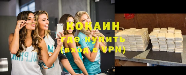 дживик Богородск