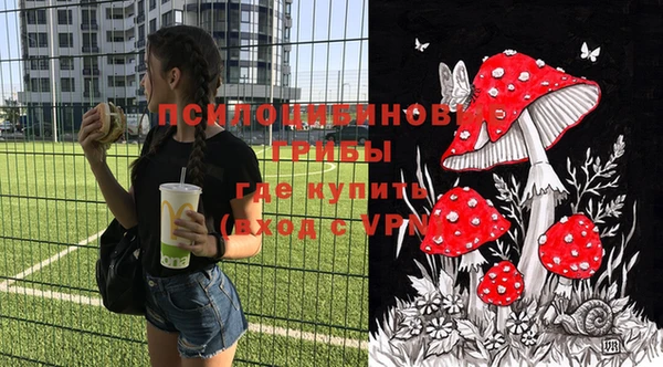 mix Богородицк
