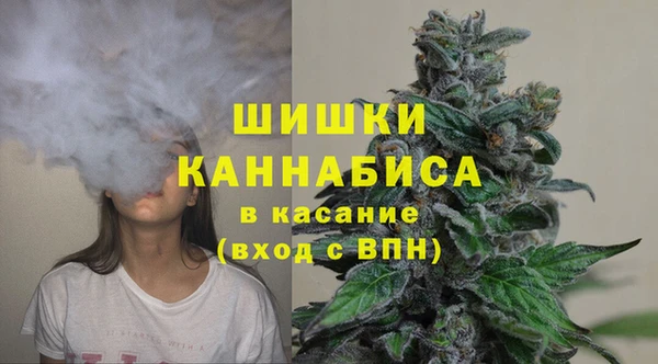 дживик Богородск