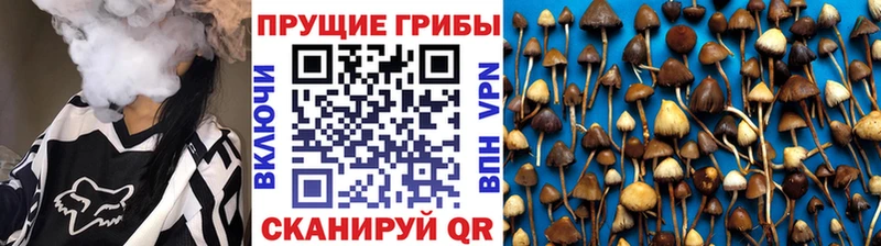 Галлюциногенные грибы Magic Shrooms  Северская 